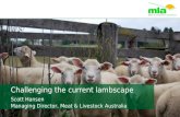 Challenging the current lambscape Scott Hansen Managing Director, Meat & Livestock Australia.
