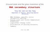KIAS July 2006 RNA secondary structure Ground state and the glass transition of the RNA secondary structure RNA folding: specific versus nonspecific pairing.