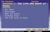 The UniverseSection 1 Section 1: The Life and Death of Stars Preview Key Ideas Bellringer What Are Stars? Studying Stars The Life Cycle of Stars.