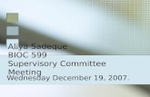 Aliya Sadeque BIOC 599 Supervisory Committee Meeting Wednesday December 19, 2007.