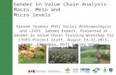 Gender in Value Chain Analysis: Macro, Meso and Micro levels Ephrem Tesema( PhD) Social Anthropologist and LIVES Gender Expert, Presented at Gender in.