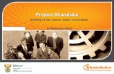 Project Shanduka Briefing of the Labour Select Committee 27 February 2013.