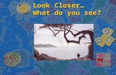Look Closer… What do you see?. Discuss Career Opportunities in Child Care Field Teen Living Objective 6.04.