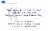 The Impact of the Global Crisis on SME and Entrepreneurship Financing Pier Carlo Padoan OECD Deputy-Secretary General Urbino, 21 April 2009 1.
