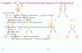 Chapter 15: The Chromosomal Basis of Inheritance Let’s review - Ch 13 - Meiosis makes gametes – sperm & egg - Ch 14 – Mendel studied peas - gametes pass.