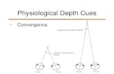 Physiological Depth Cues – Convergence. Physiological Depth Cues – Convergence – small angle of convergence = far away – large angle of convergence =
