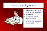 Immune System Glossary of the immune system vaccine viruses and Bacteria’s immune system interact.