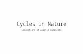 Cycles in Nature Connections of abiotic nutrients.