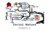 Social Nature Chapter 6. Social Nature of Intelligence* Hyper –Rich social experience (over million years)  hyper social instincts (memory, language,