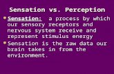 Sensation vs. Perception Sensation: a process by which our sensory receptors and nervous system receive and represent stimulus energy Sensation: a process.