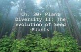Ch. 30/ Plant Diversity II: The Evolution of Seed Plants.