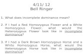 4/11/ 12 Bell Ringer 1.What does incomplete dominance mean? 2.If I had a Red Homozygous Flower and a White Homozygous Flower, what would the Heterozygous.