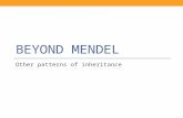 BEYOND MENDEL Other patterns of inheritance. Mendel’s laws 2 nd Principle of Segregation—homologous chromosomes separate into different gametes. Each.