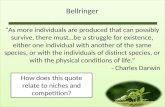 Bellringer “As more individuals are produced that can possibly survive, there must…be a struggle for existence, either one individual with another of the.