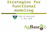 Strategies for functional modeling TAMU GO Workshop 17 May 2010.