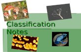 Classification Notes. Why do we classify?  Classification puts organisms into groups by looking at characteristics (traits) they share.
