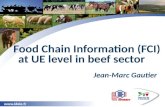 Www.idele.fr Food Chain Information (FCI) at UE level in beef sector Jean-Marc Gautier.