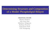 Determining Structure and Composition of a Model Phospholipid Bilayer ORANGE TEAM Monica Branco Suh Joon Han Matthew Helgeson Kathryn Krycka Jong Keun.