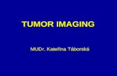 TUMOR IMAGING MUDr. Kateřina Táborská. 1.Differentiation of benign from malignant lessions 2.Staging of malignant disease 3.Differentiation of reccurent.