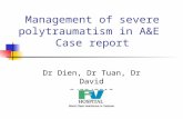 Management of severe polytraumatism in A&E Case report Dr Dien, Dr Tuan, Dr David 9/09/2010.