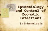 Epidemiology and Control of Zoonotic Infections Leishmaniasis.