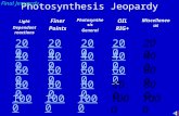 Photosynthesis Jeopardy Light Dependant reactions Finer Points Photosynthesis General OIL RIG+ Miscellaneous 200 400 600 800 1000 400 600 800 1000 Final.