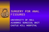 SURGERY FOR ANAL FISSURES UNIVERSITY OF HULL ACADEMIC SURGICAL UNIT CASTLE HILL HOSPITAL.