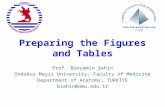 Preparing the Figures and Tables Prof. Bünyamin Şahin Ondokuz Mayis University, Faculty of Medicine Department of Anatomy, TURKİYE bsahin@omu.edu.tr.