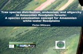 Max Planck Institute for Chemistry National Institute for Amazon Research Tree species distribution, endemism, and oligarchy in Amazonian floodplain forests: