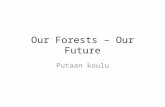Our Forests – Our Future Putaan koulu. a lower secondary c. 50 teachers C. 500 students Back to our own school building in Aug. 2015.