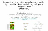 Learning the cis regulatory code by predictive modeling of gene regulation (MEDUSA) Christina Leslie Center for Computational Learning Systems Columbia.