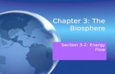 Chapter 3: The Biosphere Section 3-2: Energy Flow.