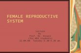 1 FEMALE REPRODUCTIVE SYSTEM Lecture By Prof. Dr. Ansari (for BDS students) 22.04.08 Tuesday 8.30-9.30 am.