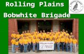 Rolling Plains Bobwhite Brigade Rolling Plains Bobwhite Brigade.