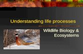 Understanding life processes Wildlife Biology & Ecosystems.