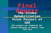 Final Report The Stroke Rehabilitation Pilot Project of SEO This project was funded by the Ontario Ministry of Health, Long Term Care Cally Martin BScPT,