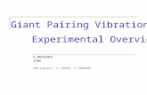 B.MOUGINOT IPNO PHD director : F. AZAIEZ, S. FRANCHOO Giant Pairing Vibration : Experimental Overview.