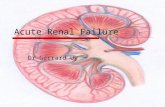 Acute Renal Failure Dr Gerrard Uy. Overview  Definitions  Classification and causes  Presentation  Treatment.
