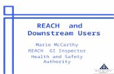 & H AS HEALTH AND SAFETY AUTHORITY REACH and Downstream Users Marie McCarthy REACH GI Inspector Health and Safety Authority.