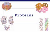 MCC BP Based on work by K. Foglia  Proteins.