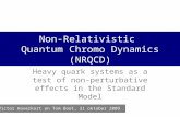 Non-Relativistic Quantum Chromo Dynamics (NRQCD) Heavy quark systems as a test of non-perturbative effects in the Standard Model Victor Haverkort en Tom.