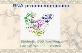 RNA-protein interaction Students: Guo Xiaoyong Fan Wenzhu Liu Yunhui.