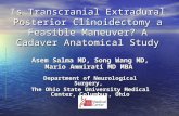 Is Transcranial Extradural Posterior Clinoidectomy a Feasible Maneuver? A Cadaver Anatomical Study Asem Salma MD, Song Wang MD, Mario Ammirati MD MBA Department.