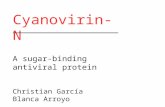 Cyanovirin-N A sugar-binding antiviral protein Christian García Blanca Arroyo.