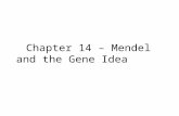 Chapter 14 – Mendel and the Gene Idea. Gregor Mendel Mid 19 th century Austrian monk.