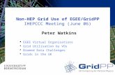 Non-HEP Grid Use of EGEE/GridPP IHEPCCC Meeting (June 06) Peter Watkins  EGEE Virtual Organisations  Grid Utilisation by VOs  Biomed Data Challenges.