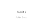 Packet 6 Cellular Energy ATP: cellular energy Why do cells need energy? Cells carry out three kinds of energy-requiring work: – Chemical – Mechanical.