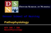BIO 206 / 308 – Unit 2 Ch 12 & 13, NeuroPhysiology Denver School of Nursing – ADN & BSN Programs No Laboratory component for this class.
