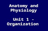 Anatomy and Physiology Unit 1 - Organization. I. Course Overview A. Semester 2 Policy handout. B. System approach - Form (anatomy) and function (physiology).