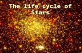 The life cycle of Stars. Where do stars form  Stars form in clouds of gas (a nebula)  These are called diffuse nebula or star forming nebula.  A single.